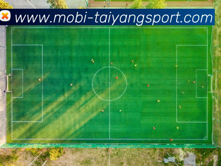 太阳城发展历程