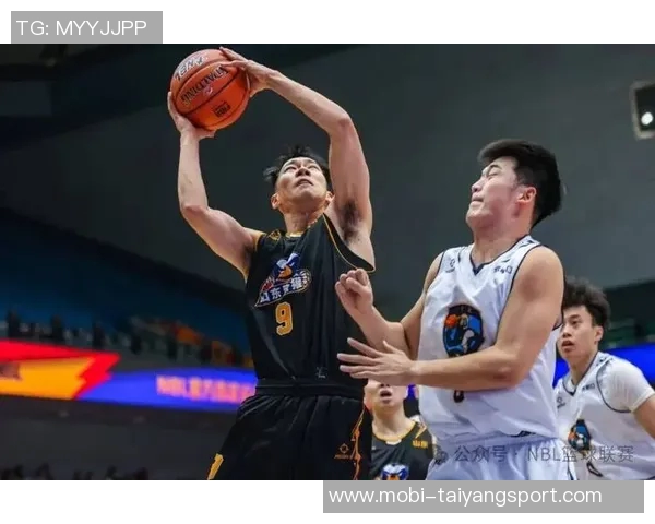 NBL今日战报：石家庄翔蓝险胜山东蜜獾张家口体文旅遭长沙勇胜逆转